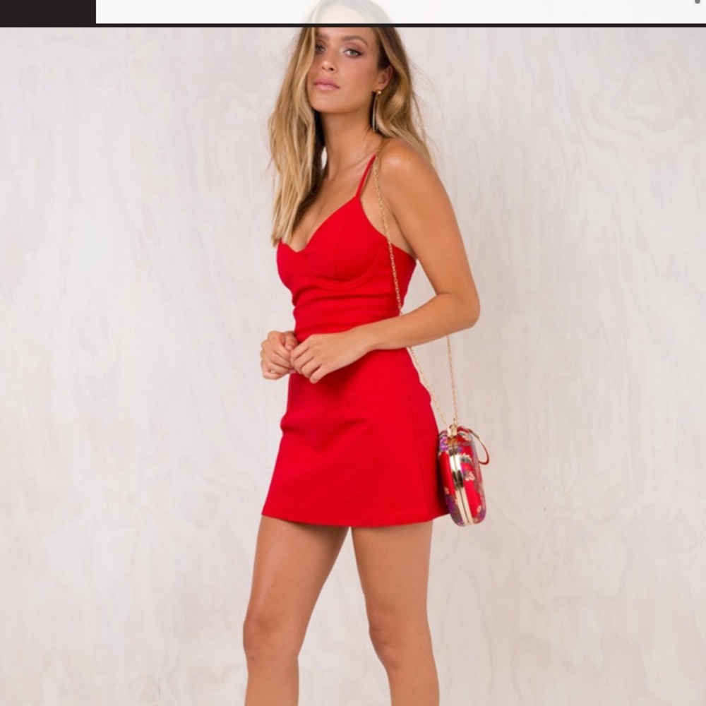 Princess Polly “novella mini dress” size 4